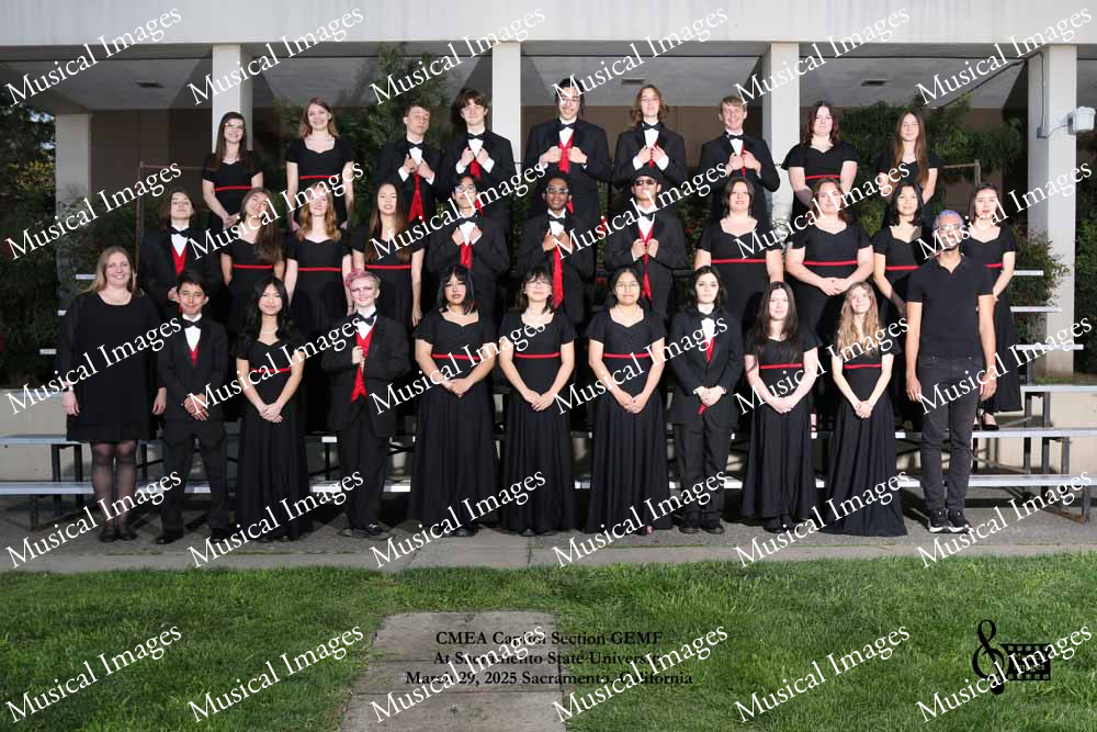 Musical Images